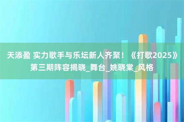 天添盈 实力歌手与乐坛新人齐聚！《打歌2025》第三期阵容揭晓_舞台_姚晓棠_风格