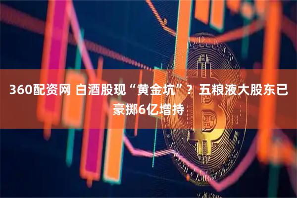 360配资网 白酒股现“黄金坑”？五粮液大股东已豪掷6亿增持