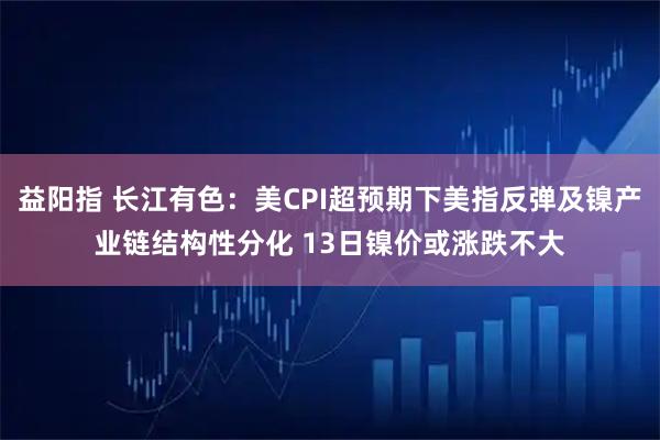 益阳指 长江有色：美CPI超预期下美指反弹及镍产业链结构性分化 13日镍价或涨跌不大