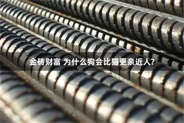 金砖财富 为什么狗会比猫更亲近人?